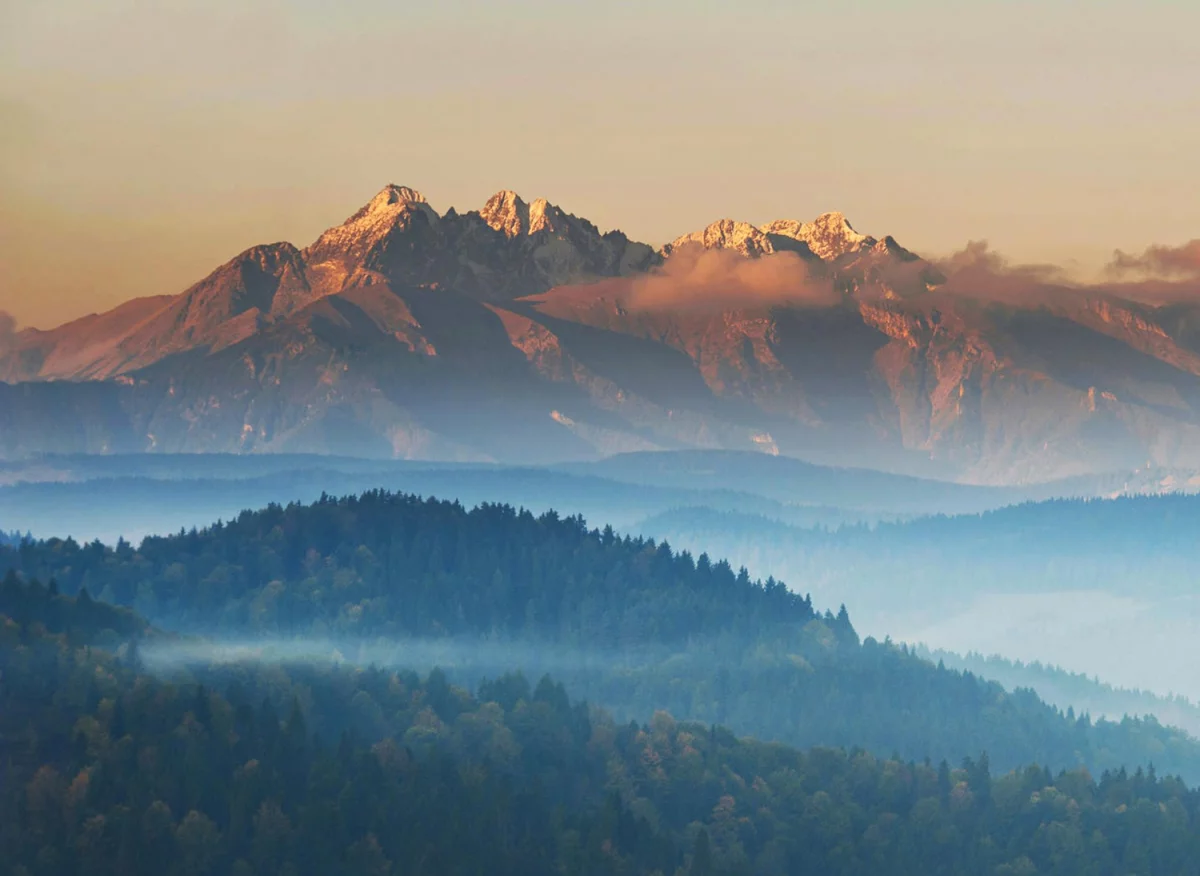 Zrób to wreszcie! Zacznij zlecić outsourcing środowiskowy już w 6 dni!