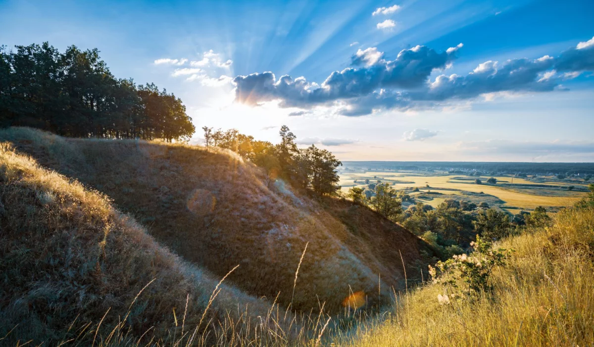  robić tanie pozycjonowanie w 2021?