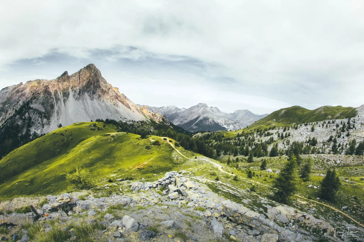 Radzimy jak zmienić prawo szybciej