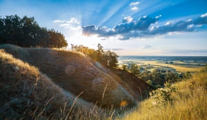 To Nie Twoja Wina, że Nie Wiesz Jak opublikować artykuły (chyba, że Popełniasz Te 8 Największych Błędów)