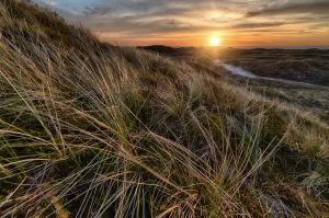 Szukam 6 Osób, Którym Przekażę Rozwiązanie Jak opublikować artykuły sponsorowane