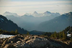 kupić artykuł sponsorowany jak mistrz!